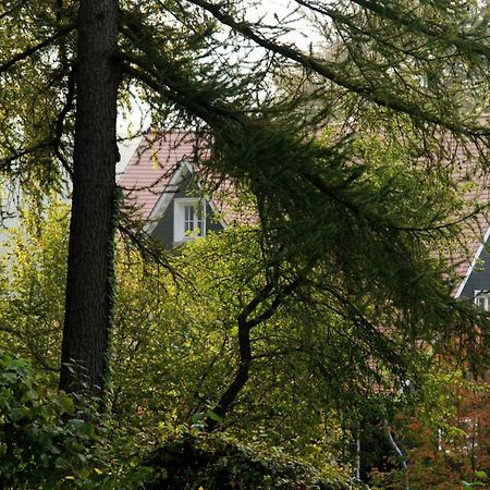 Panoramablick Appartement - traumhaft! Ober-Hambach Exterior foto