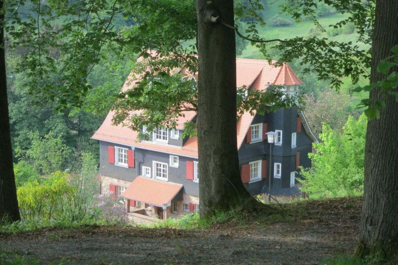 Panoramablick Appartement - traumhaft! Ober-Hambach Exterior foto