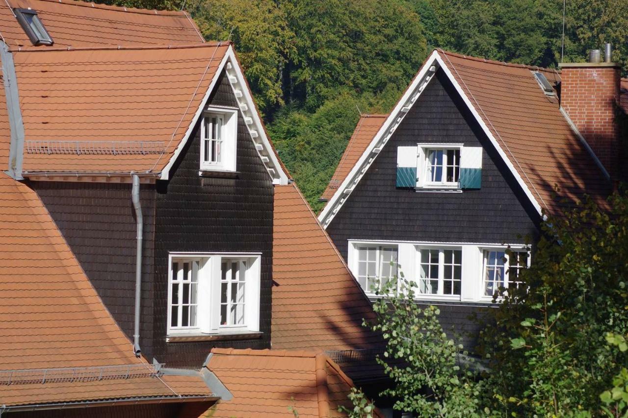 Panoramablick Appartement - traumhaft! Ober-Hambach Exterior foto